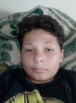 Nicolas, 18 лет, Sarandi (Paraná)