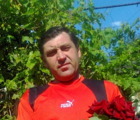 Александр, 52 года, Нікополь