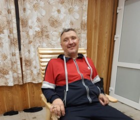 Петр, 49 лет, Челябинск