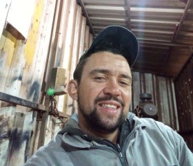 Hércules Alves e, 33 года, Igaraçu do Tietê