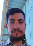 Armando, 26 лет, Tijuana