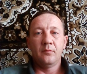 Анатолий, 49 лет, Нурлат