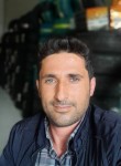 Mohammad, 35 лет, تبریز