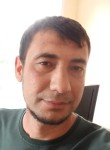Али - Кострома