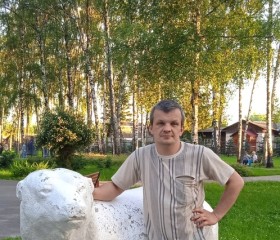 Николай, 40 лет, Липецк
