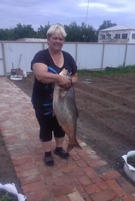 ВЕРОНИКА, 60, Россия, Волгоград