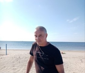 Владимир, 54 года, Плесецк
