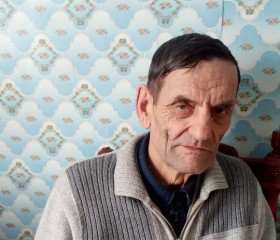 Владимир, 72 года, Троицкое (Алтайский край)