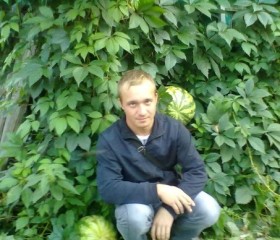 Сергей, 31 год, Сухиничи