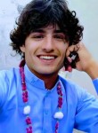 Farhad ali, 24 года, اسلام آباد