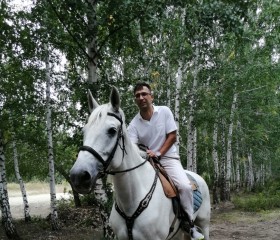 Дмитрий, 37 лет, Саратов