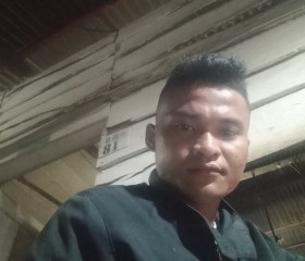 Aryanus ndruru, 26 лет, Kota Pekanbaru