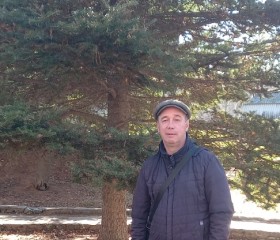 Алексей, 53 года, Большой Камень