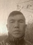 камол, 39 лет, Toshkent