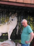 Vladimir, 64, Voronezh