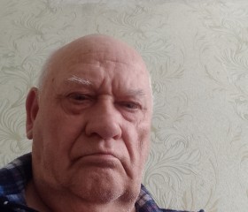 Владимир, 70 лет, Веселе