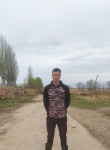 Алымбек Уланбеко, 26 лет, Каракол
