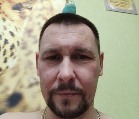 Дмитрий, 41 год, Бутурлиновка