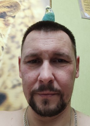 Дмитрий, 41, Россия, Бутурлиновка