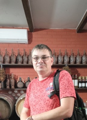 Anton, 46, Russia, Samara