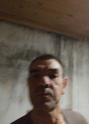 Олег из Александрова 54 года