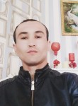 Alek, 34 года, Toshkent