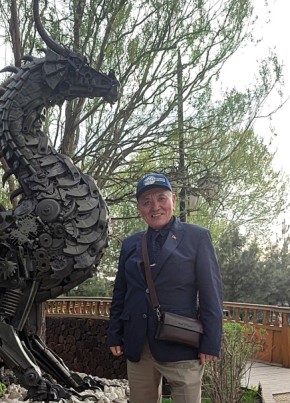 Бек, 69, Кыргыз Республикасы, Бишкек