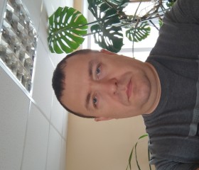 Николай, 44 года, Старый Оскол