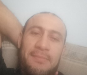 Фарход, 36 лет, Барсуки