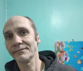 Павел, 42 года, Toshkent