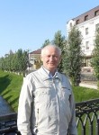владимир панов, 77 лет, Ярославль