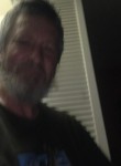 Brian, 60 лет, Spring Hill (State of Florida)