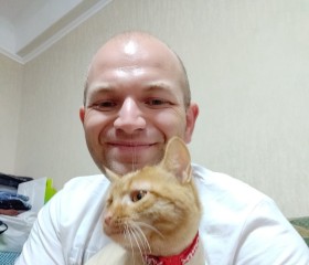 Lion, 37, Galanta