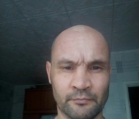 Александр, 50 лет, Братск