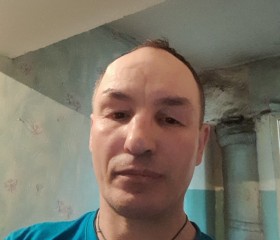 Василий, 49 лет, Боровичи