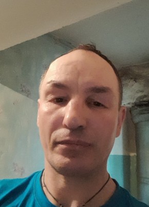 Василий, 50, Россия, Боровичи