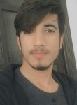 Ayan ali, 19 лет, راولپنڈی