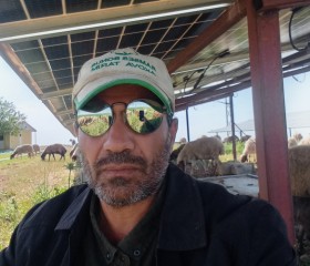 اسماعيل السلمو, 43, Delhi