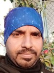 Amit Gupta, 36 лет, Haridwar