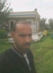 nabil, 34 года, تونس