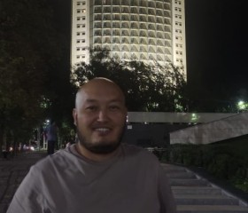 Рустем, 39 лет, Алматы