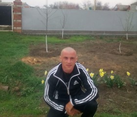 Сергей Шатов, 32 года, Ростов-на-Дону