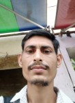 Hameed, 28 лет, Pathankot