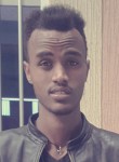 Kewani Aregawi, 27 лет, መቐለ