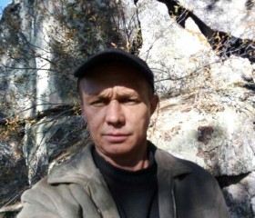 Николай Борисов, 48 лет, Чита