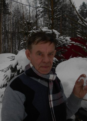 Владимир, 70, Россия, Санкт-Петербург