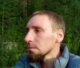 Дмитрий, 39 лет, Петрозаводск