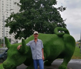 Александр, 65 лет, Москва