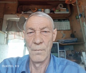 Unknown, 67 лет, Тюмень