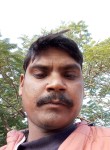 Dinesh Kumar, 31 год, Lucknow